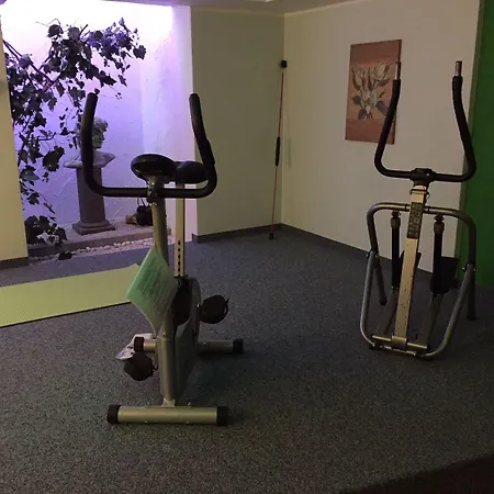 Parkhotel Tannenhof 4*