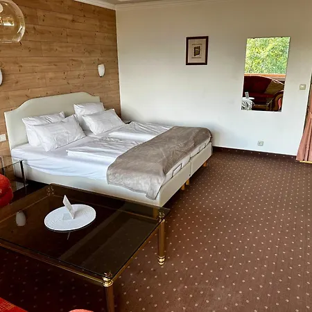 Parkhotel Tannenhof 酒店